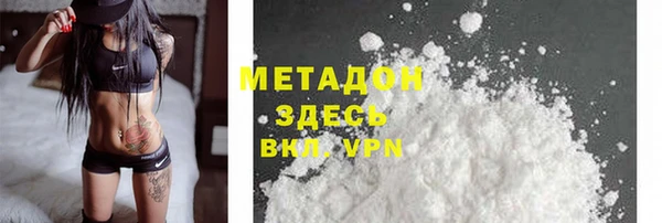 гидра Вязьма