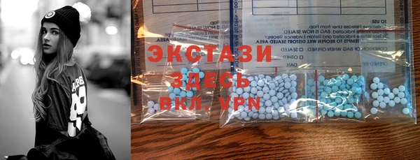 гидра Вязьма
