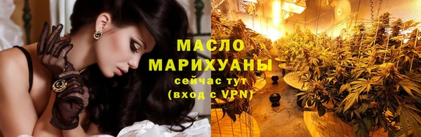 гидра Вязьма