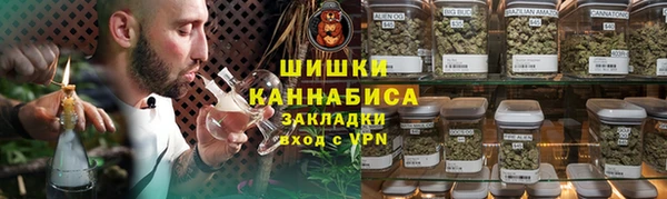 гидра Вязьма