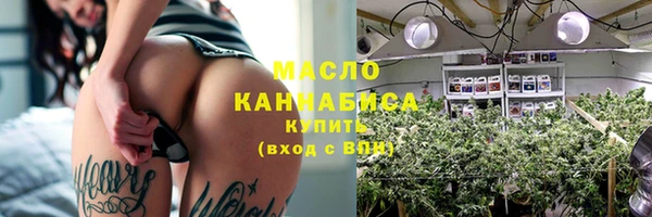 гидра Вязьма