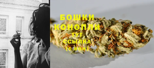 гидра Вязьма