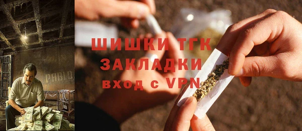 гидра Вязьма