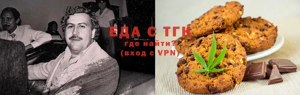 гидра Вязьма