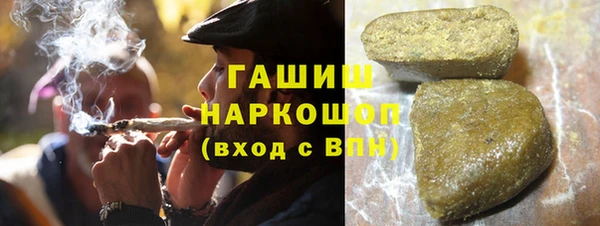 гидра Вязьма
