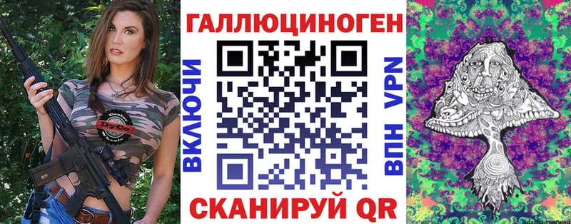 Галлюциногенные грибы Psilocybe  Исилькуль 
